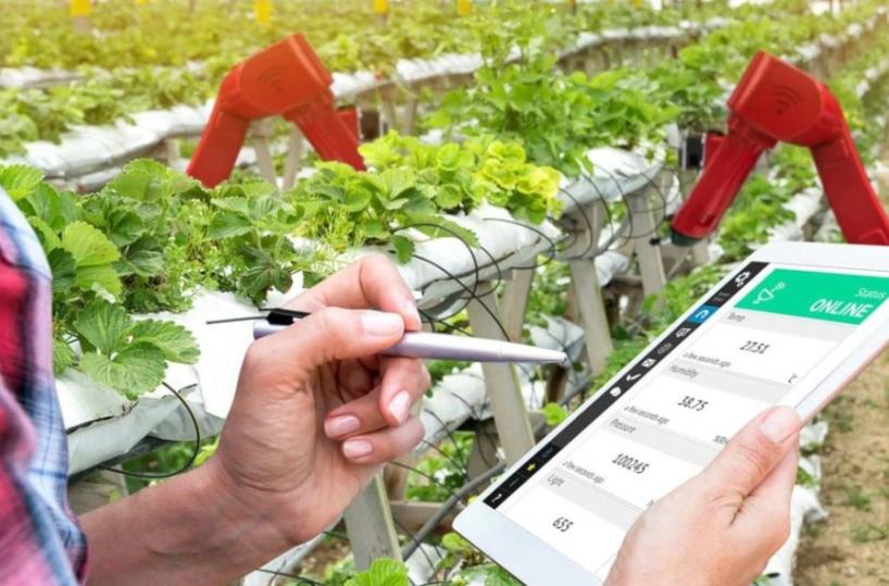 Confagri, la Puglia seconda in Italia per il numero di imprese agricole al femminile 
