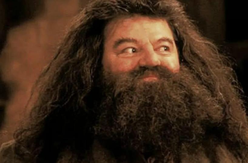 Addio ad Hagrid di Harry Potter, l'attore Robbie Coltrane morto a 72 anni
