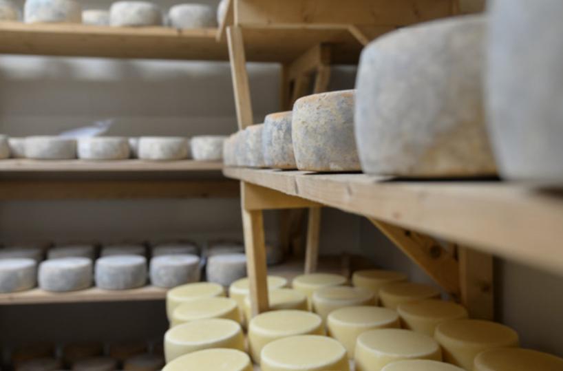 I formaggi di Torre Sant’Emiliano: in Salento la storia lunga 50 anni