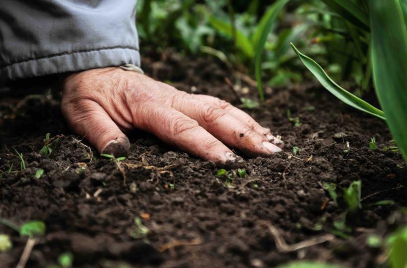 Sull'alimentare speriamo che le parole siano anche idee