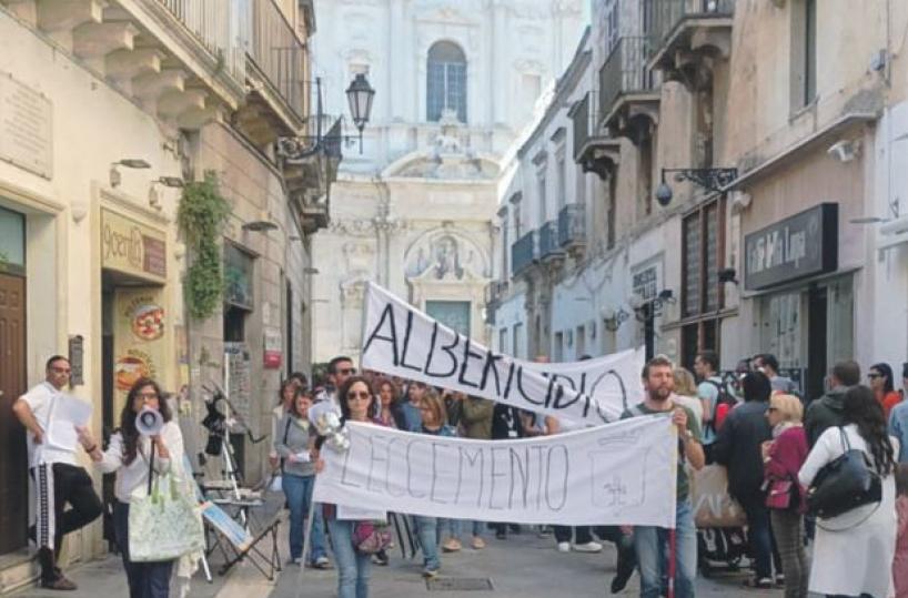L'appello  a Lecce: «Stop alla rimozione degli alberi in salute»