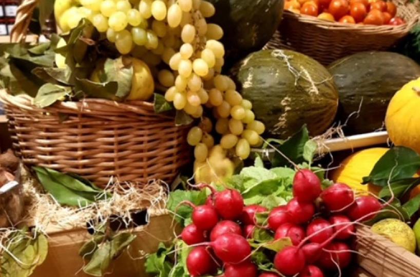 Potenza, sindaco e assessori comunali firmano contro il cibo sintetico