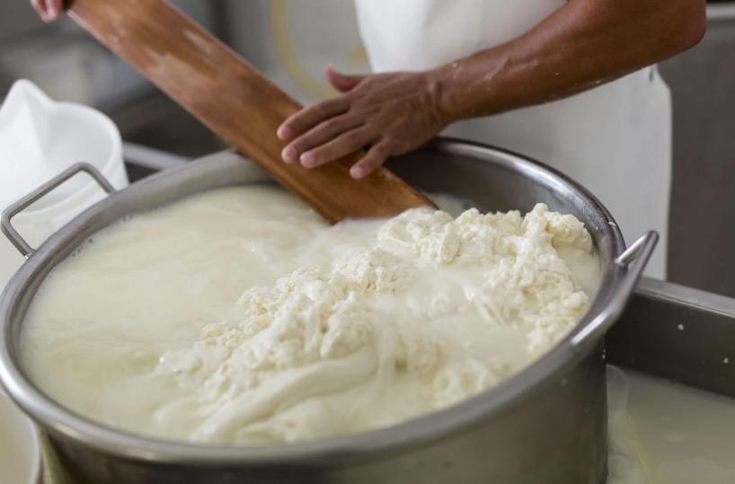 Al via la scuola del Crea per imparare il mestiere del casaro