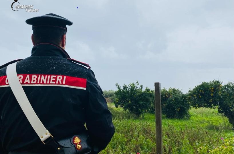 Taranto, cc sequestrano beni per 230mila euro a pregiudicato, anche una villa con piscina