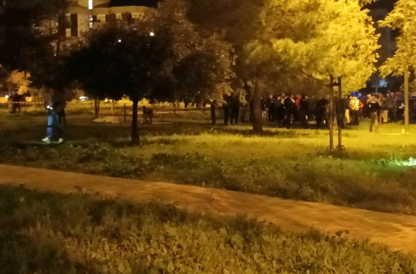 Quella gioventù bruciata nel parco