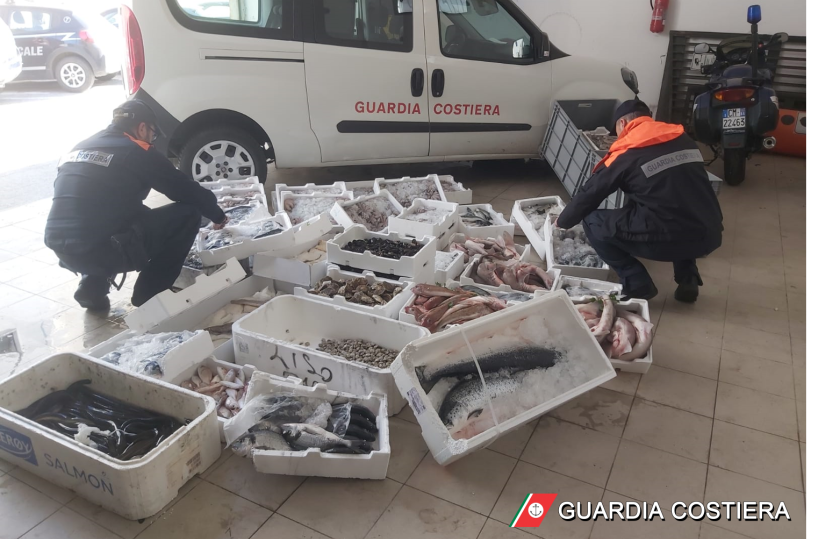 Bitonto, sequestrati 3 quintali di pesce mal conservato in una pescheria