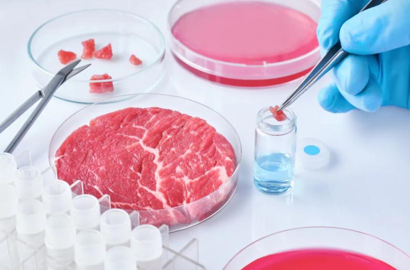 Basilicata contro il cibo sintetico: no a carne, uova e pesce nati in laboratorio