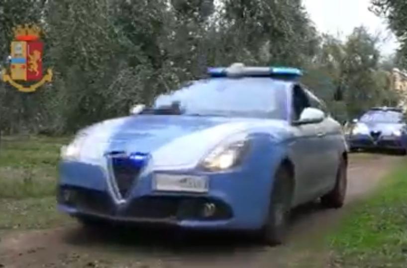Andria, in due rubano 50 chili di olive: intercettati ed arrestati