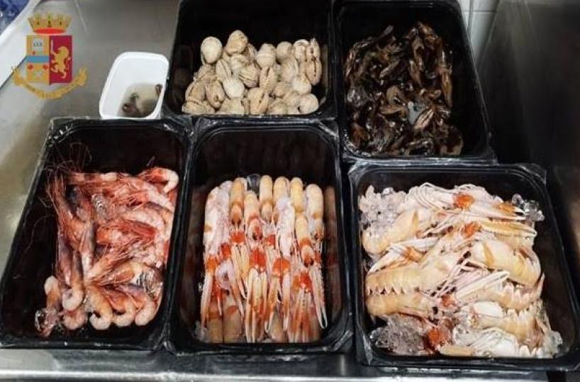 Cozze e crostacei mal conservati e non tracciati: multe e sequestri nel Tarantino
