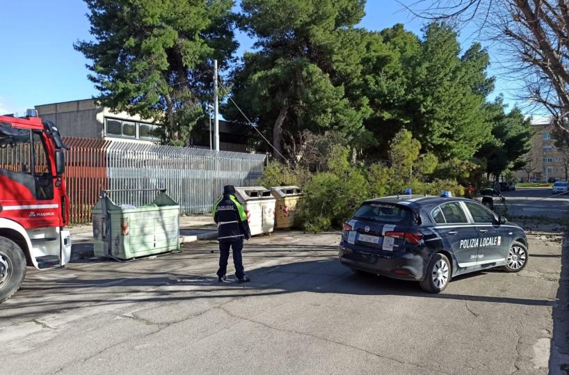 Foggia, un albero cade sul palo dell'Enel: disagi alla linea elettrica