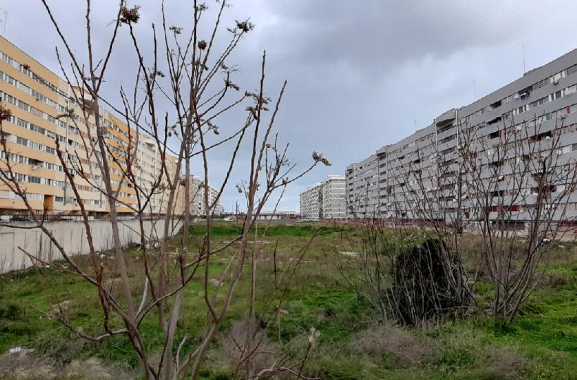 Bari, quartiere San Paolo