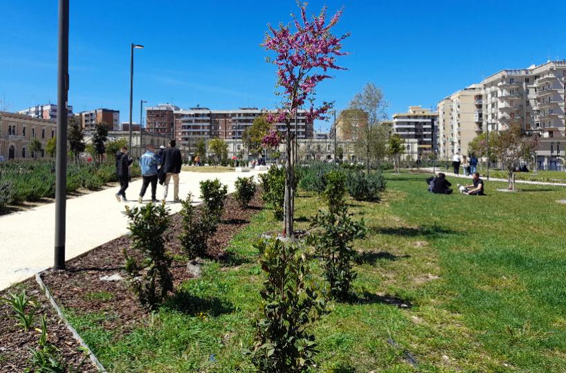 Belle arti a Bari, alla Rossani l’ex caserma fa spazio alla sede dell’Accademia