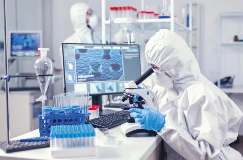Pancreas, il cancro big killer: ricostruito l’ecosistema dello sviluppo delle cellule