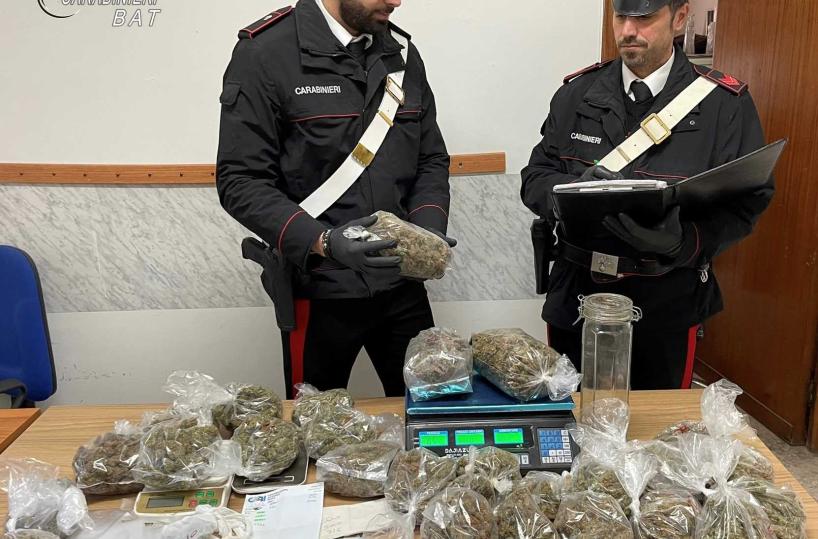 Andria, nascondeva in casa oltre 2 kg di marijuana: arrestato dai Carabinieri