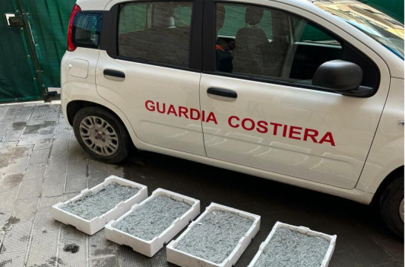 Margherita di Savoia, sequestrati 25 chili di novellame e sanzione di 5000 euro