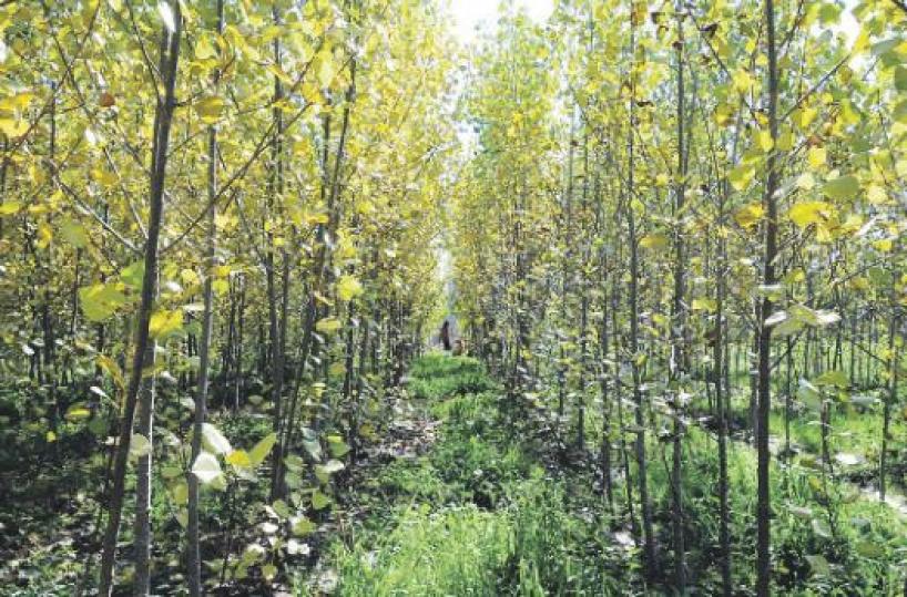 Bonifiche dei siti inquinati, nasce una nuova società