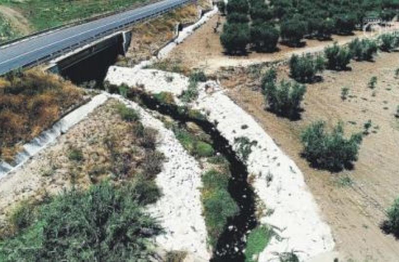 Bari, l'indagine: «Archiviare Sannicandro e Campanelli. Anche Guadagnolo smentì le pressioni»