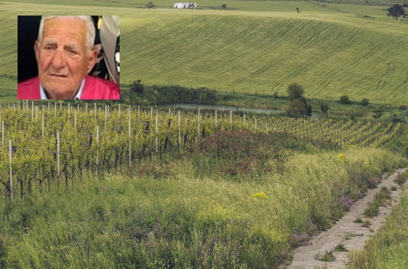 Da Salerno alla Murgia per raccogliere asparagi: 85enne trovato morto dopo due giorni di ricerche