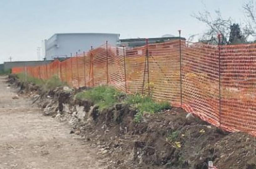mercato ortofrutticolo andria