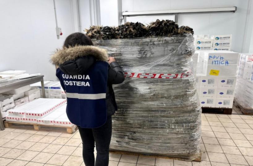 Controlli a raffica della Guardia Costiera nel Barese: oltre 2 tonnellate di pesce sequestrato