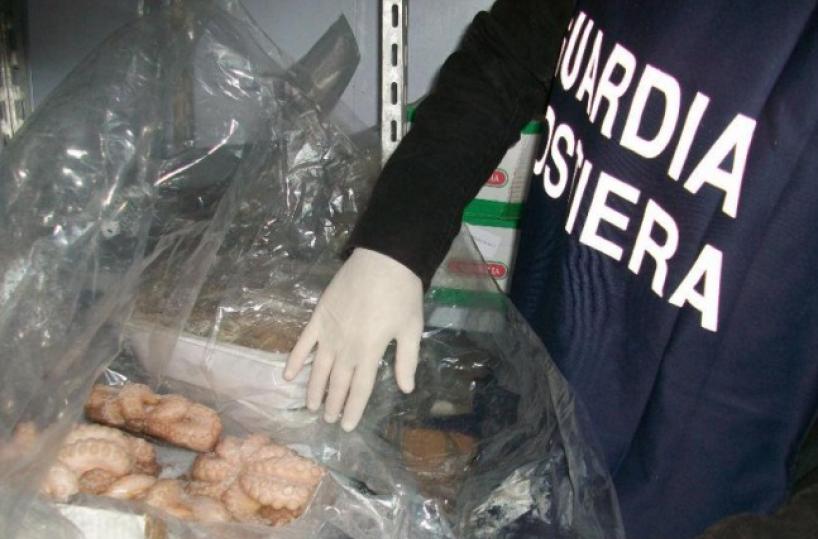 Barletta,  200 chili di prodotti ittici e 160 vasetti di polpa di mare senza tracciabilità diretti a ristoranti di Milano: i sequestri del Nucleo Ispettori Pesca Guardia Costiera 
