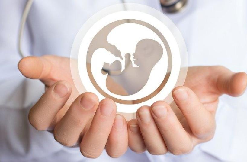 Puglia, ok al piano M5S: 5mila euro alle donne se rinunciano all’aborto