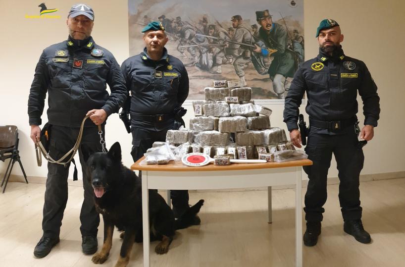 Ottanta kg di droga sequestrati nel Foggiano da inizio anno: 130 controlli in tutto