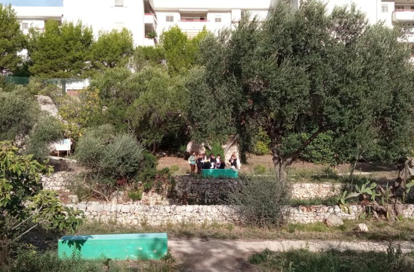 Carta Canta: Monopoli ama la Lama