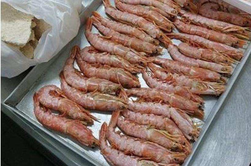 Taranto, sequestrati 5 quintali di alimenti privi di tracciabilità