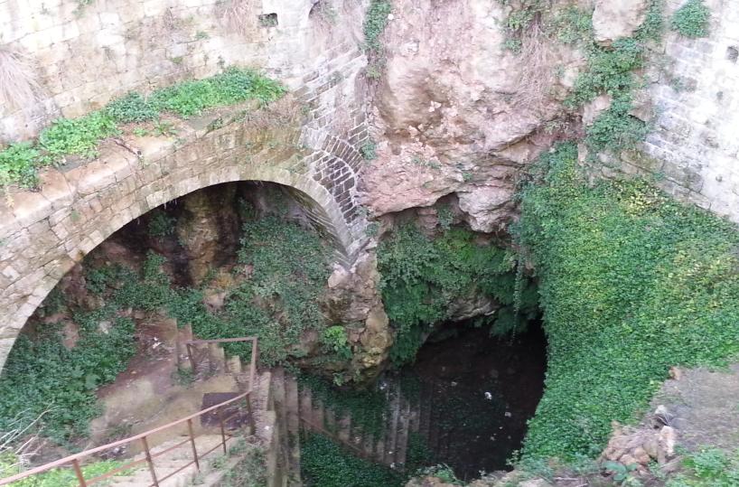 Carta Canta - Una finestra sul mondo della sostenibilità