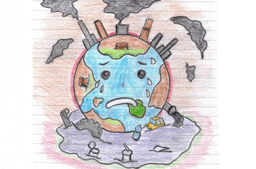 Carta canta, riforestiamo l'Amazzonia