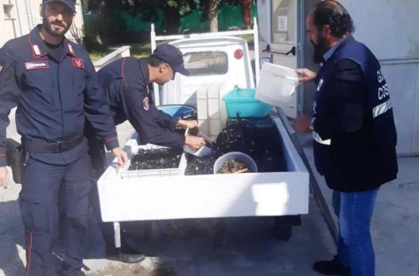 Manfredonia, nuovo maxi-sequestro di pesce non tracciato