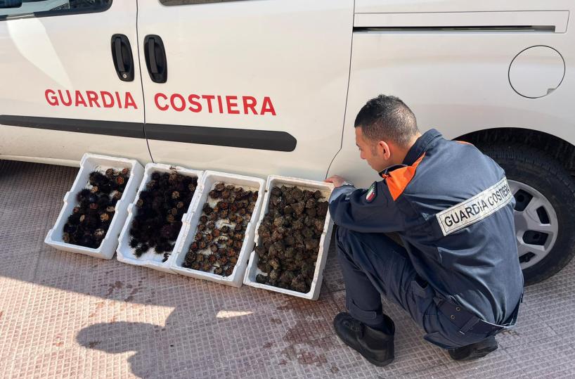 Molfetta, al mercato del pesce ricci e limoni di mare pescati illegalmente