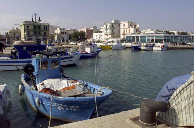 Raid in mare tra Savelletri e Torre Canne: rubati centinaia di metri di reti con il pesce impigliato