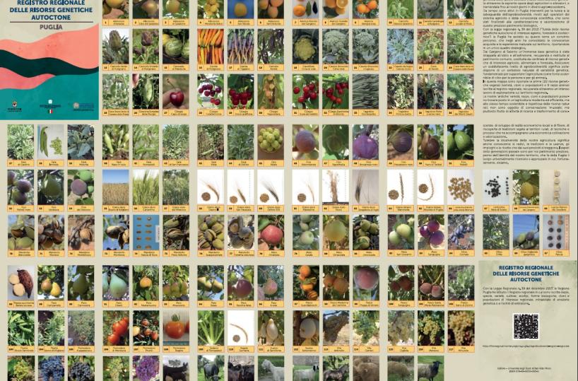 Puglia, al via «Settimana della Biodiversità»: previsti 127 eventi
