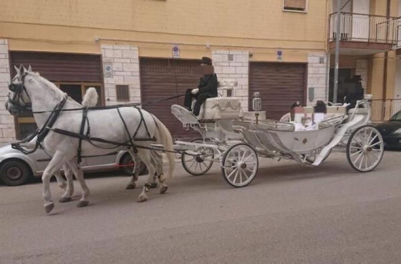 Bitonto, dopo la prima comunione il giro in carrozza: la foto diventa virale