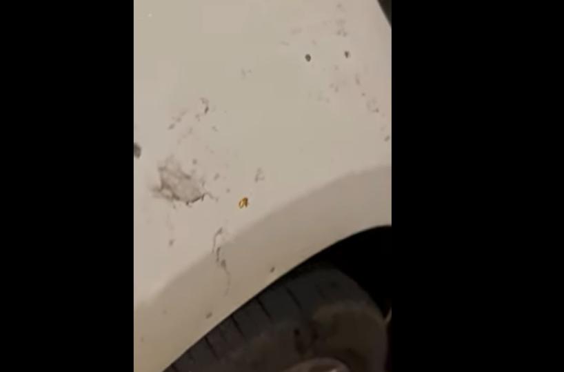 Santeramo, colpi di fucile contro l’auto del circolo Arci