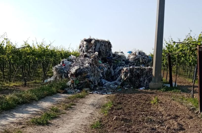 Cerignola, scaricano rifiuti vicino Tor Lupara: beccati speronano con l'auto vigilante, salvo per miracolo
