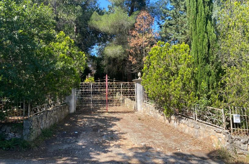 Vede i carabinieri e 16enne tenta di ingoiare la cocaina Arrestato un diciottenne