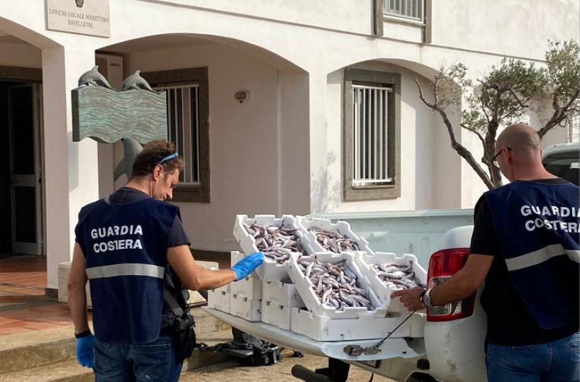 Sanzioni e sequestro di prodotti ittici in due ristoranti del litorale fasanese