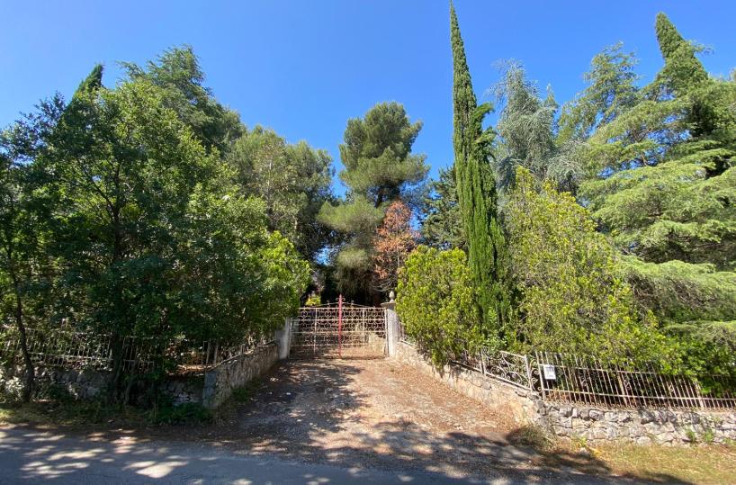 Monopoli investe e uccide la figlia, 87enne ai domiciliari