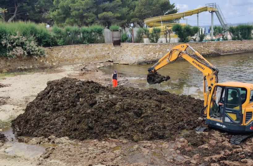 Taranto, iniziata la rimozione delle biomasse spiaggiate a San Vito