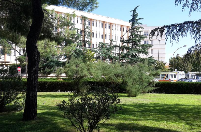«I soldi covid a Universo Salute sono fuori da ogni logica»