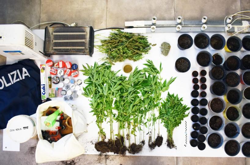 Pisticci, coltiva marijuana nel suo fondo: arrestato agricoltore 65enne