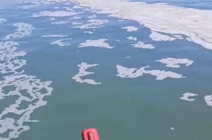 Nel mare di Barletta spuntano delle chiazze: «Ci spaventano molto» VIDEO