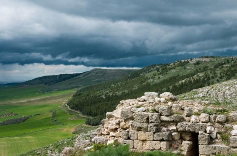 Murgia, i 24 parchi nazionali preziosi scrigni di biodiversità: la parola a Federparchi