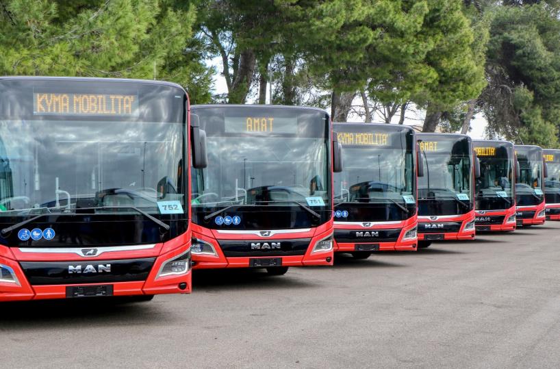 Amat Taranto