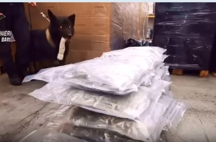 Traffico di droga dall'estero, smantellato gruppo criminale che operava nel Barese