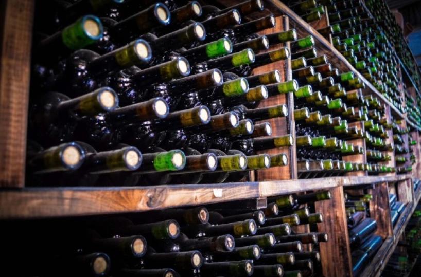 Un lievito green mitiga il riscaldamento globale sul vino: il progetto arriva da Foggia