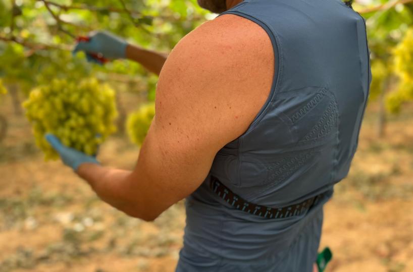 Caldo record, a Barletta una canotta monitora la salute di chi lavora nei campi